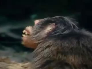 Tarzan-x skam av jane - del 1, gratis voksen video 88